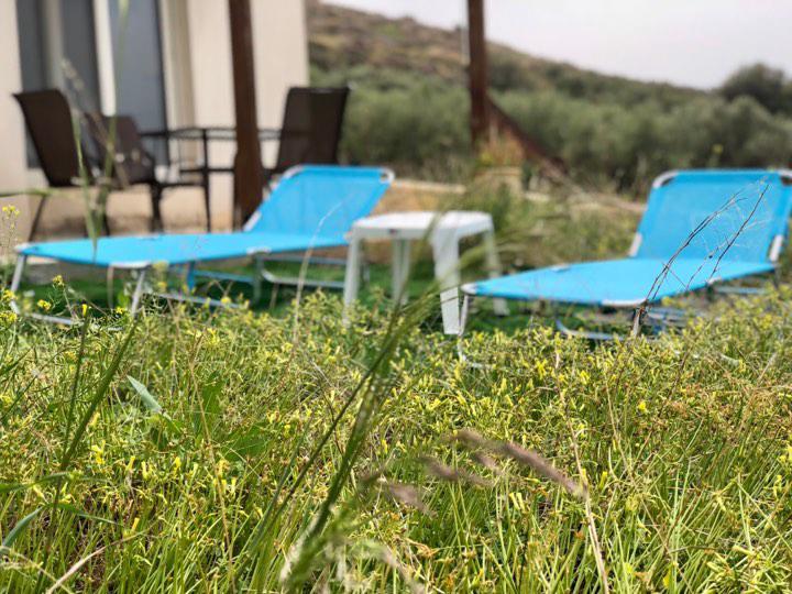 Villa Oniro Kreta Kalamaki  Exterior foto